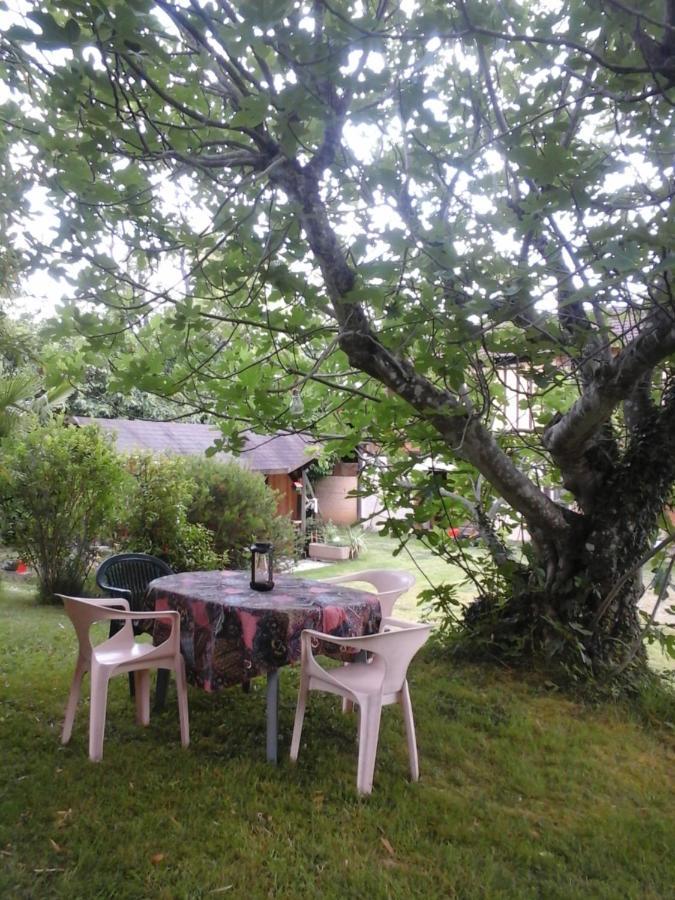 Gite L'Appel De La Foret Betplan Eksteriør billede